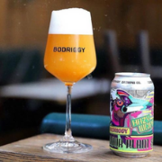 Bodrigy Brewing x Hops to Home collab - Indoor Plant Sale West Coast IPA