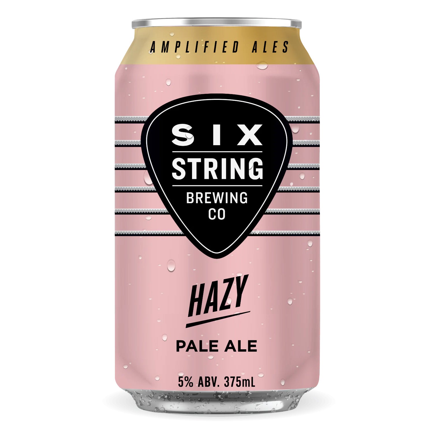 Six String Brewing Hazy Pale Ale (24)